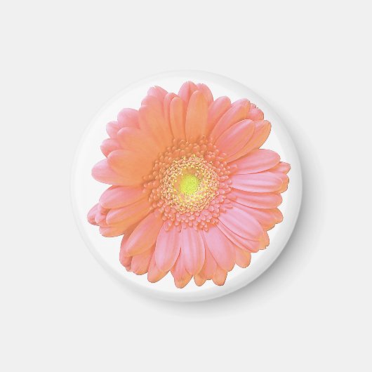 Orange gerbera daisy magnet (Vorne)