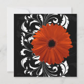 Orange Gerbera Daisy mit Schwarz-Weiß-Rollen Einladung (Rückseite)