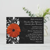 Orange Gerbera Daisy mit Schwarz-Weiß-Rollen Einladung (Stehend Vorderseite)