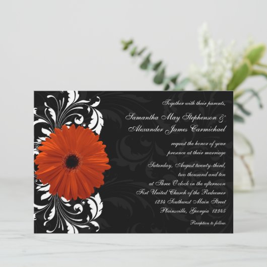 Orange Gerbera Daisy mit Schwarz-Weiß-Rollen Einladung (Stehend Vorderseite)