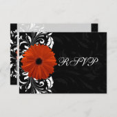 Orange Gerbera Daisy mit Schwarz-Weiß-Rollen RSVP Karte (Vorne/Hinten)