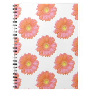 Orange gerbera daisy notizblock