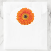Orange Gerbera Daisy Ovaler Aufkleber (Tasche)