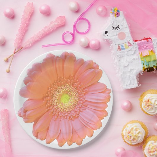 Orange gerbera daisy pappteller (Party)