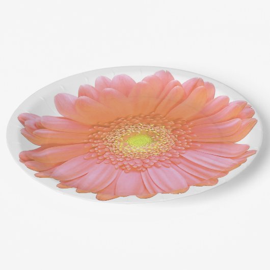 Orange gerbera daisy pappteller (Schrägansicht)