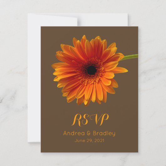 Orange Gerbera Daisy Response Card RSVP Karte (Vorderseite)