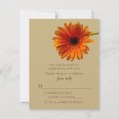 Orange Gerbera Daisy Response Card RSVP Karte (Rückseite)