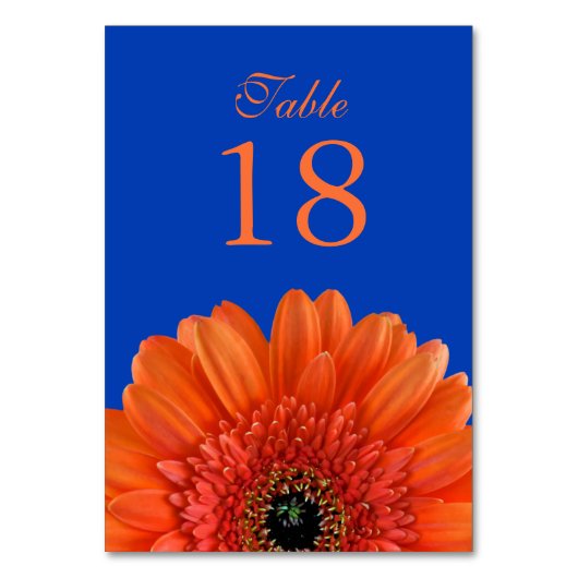 Orange Gerbera Daisy Royal Blue Wedding Tischnummer (Rückseite)