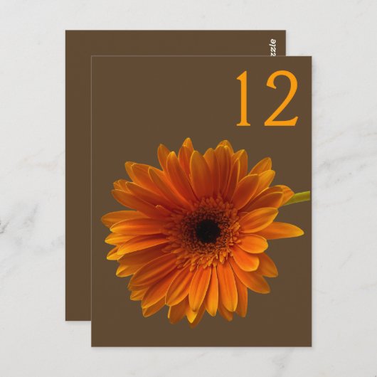 Orange Gerbera Daisy Tischnummer Card (Vorne/Hinten)