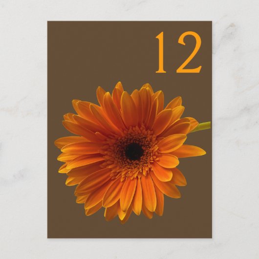 Orange Gerbera Daisy Tischnummer Card (Vorderseite)