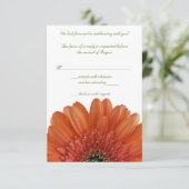 Orange Gerbera Daisy Wedding Reply RSVP Card Karte (Stehend Vorderseite)