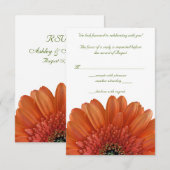 Orange Gerbera Daisy Wedding Reply RSVP Card Karte (Vorne/Hinten)