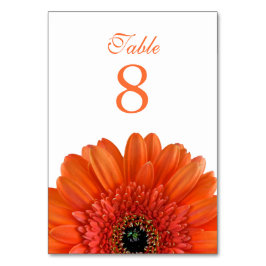 Orange Gerbera Daisy White Wedding Tischnummer