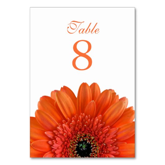 Orange Gerbera Daisy White Wedding Tischnummer (Rückseite)