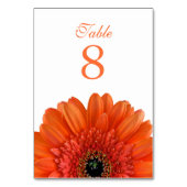 Orange Gerbera Daisy White Wedding Tischnummer (Vorderseite)