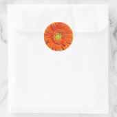 Orange Gerbera-Gänseblümchen-Aufkleber Runder Aufkleber (Tasche)