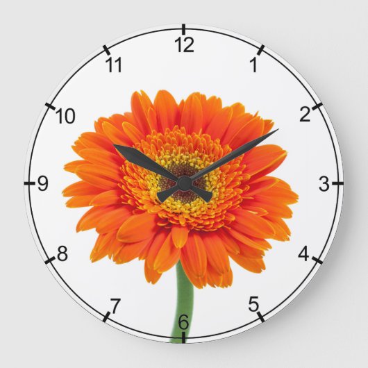 Orange Gerbera-Gänseblümchen-Blume Große Wanduhr (Vorderseite)