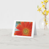 Orange Gerbera Karte (Gelbe Blume)
