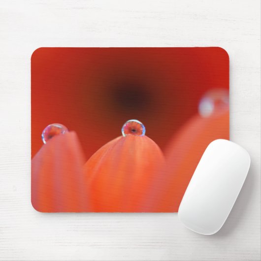 Orange Gerbera Refraka Mousepad (Mit Mouse)