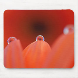 Orange Gerbera Refraka Mousepad