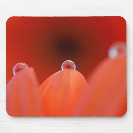 Orange Gerbera Refraka Mousepad (Vorne)