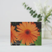 Orange Gerbers Postkarte (Stehend Vorderseite)