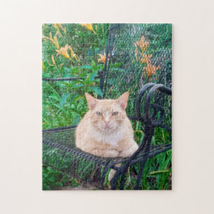 Orange getigerte Katze sitzt auf Stuhl Foto  Puzzle