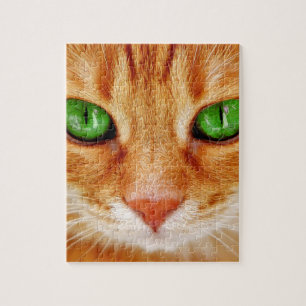 ORANGE GINGER CAT KITTEN PUZZZLE PUZZLE