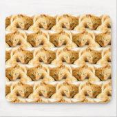 Orange Ginger Cat Pattern Mousepad (Vorne)