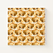 Orange Ginger Cat Pattern Notizblock (Rückseite)