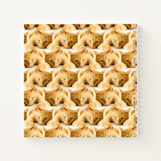 Orange Ginger Cat Pattern Notizblock (Rückseite)
