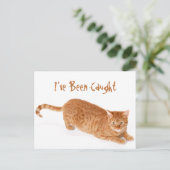 Orange Ginger Tabby Shorthair Cat Postkarte (Stehend Vorderseite)