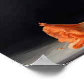 Orange Gladiolus Blume Art Print Poster (Ecke)