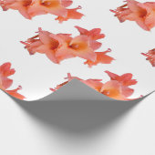 Orange Gladiolus Floral Geschenkpapier (Ecke)