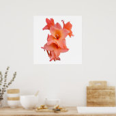 Orange Gladiolus Floral Poster (Küche)