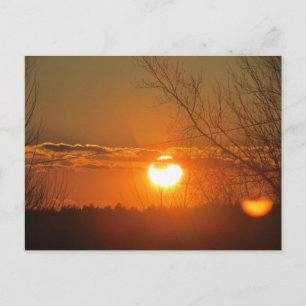 Orange Glow Postkarte