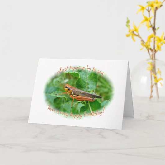 Orange Grasshopper Birthday Karte (Gelbe Blume)