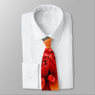Orange & Grau Krawatte