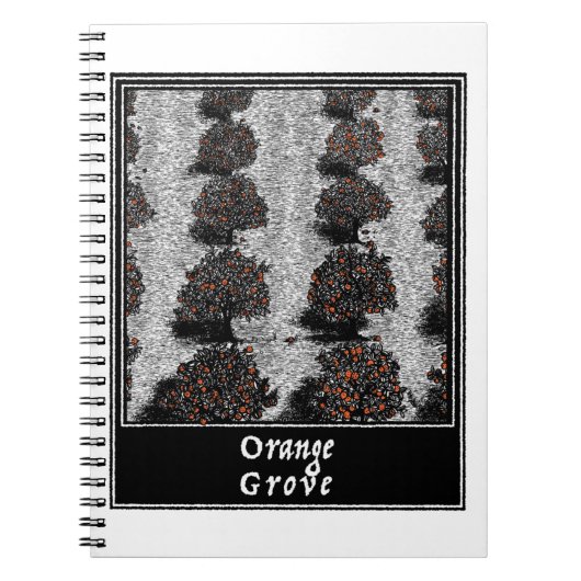 Orange Grove Notizblock (Vorderseite)