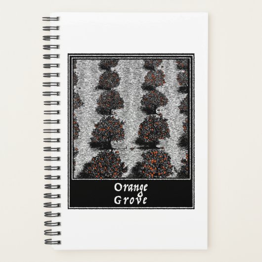 Orange Grove Planer (Vorderseite)
