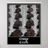 Orange Grove Poster (Vorne)