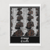 Orange Grove Postkarte (Vorderseite)