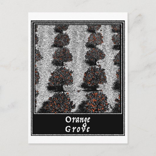 Orange Grove Postkarte (Vorderseite)