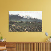 Orange Groves mit Old Baldy Mt in Entfernung Leinwanddruck (Insitu (Wohnzimmer))