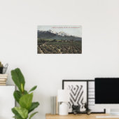 Orange Groves mit Old Baldy Mt in Entfernung Poster (Heimbüro)