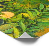 Orange Groves Snow Capped Berg Baldy Anfang der 19 Poster (Ecke)