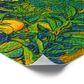 Orange Groves Snow Capped Berg Baldy Anfang der 19 Poster (Ecke)