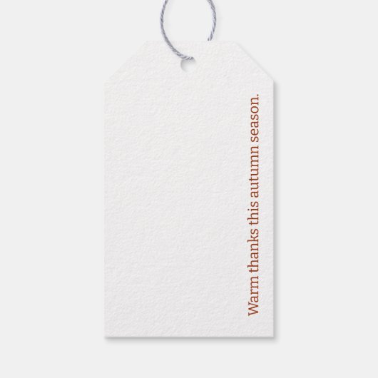 Orange Grüne Pinecones Geschenkanhänger (Rückseite)