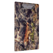 Orange Guana Art Klemmbrett (Rechts)