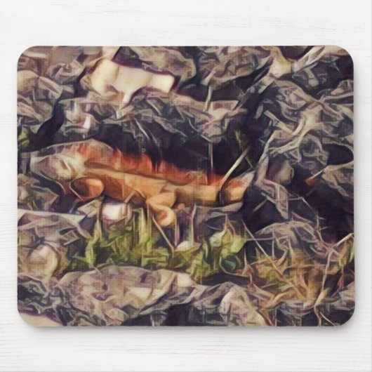 Orange Guana Art Mousepad (Vorne)